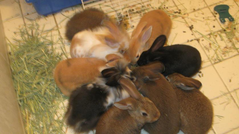 53797_10151255774294434_147021544_o