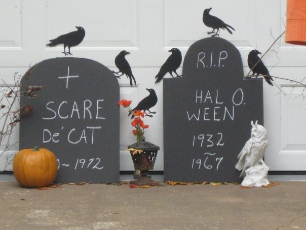 1914122_185323189433_4335465_n