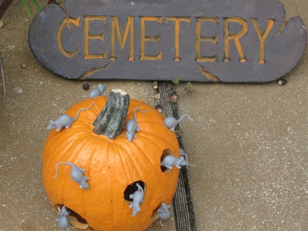 1914122_185323289433_8333495_n