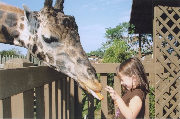 1914153_180489754433_2597951_n