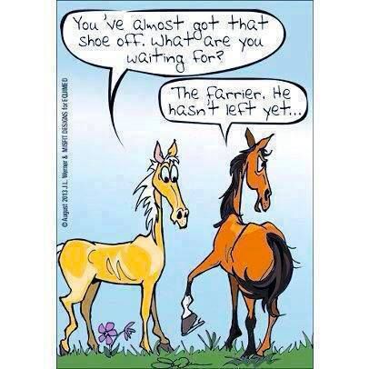 Equestrian Spoiler Alert