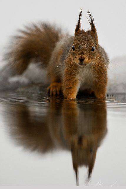 11165297_10153396817014434_18481722158189832_n