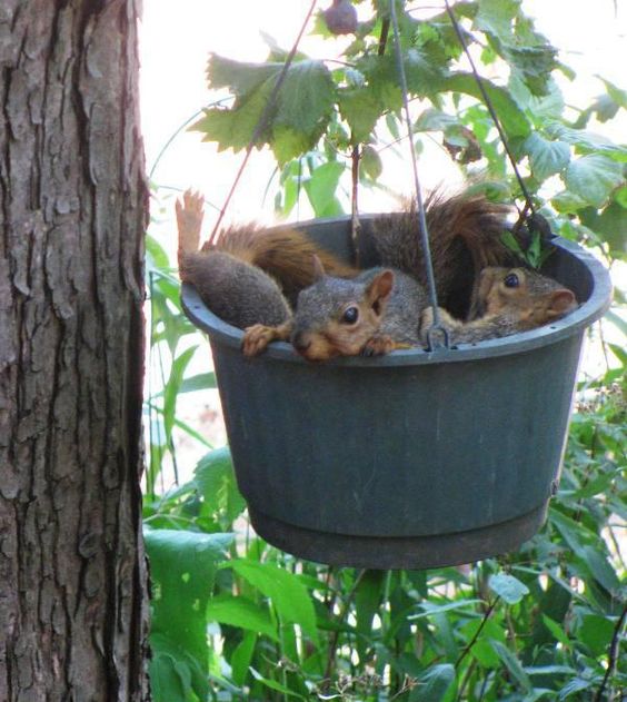 16c13ac6b741b34c54820188b3d9c58c