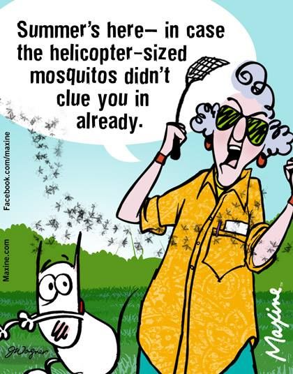 b9623ee1fbcd28bb000a8ecb505e29d2--summer-heat-summer-time