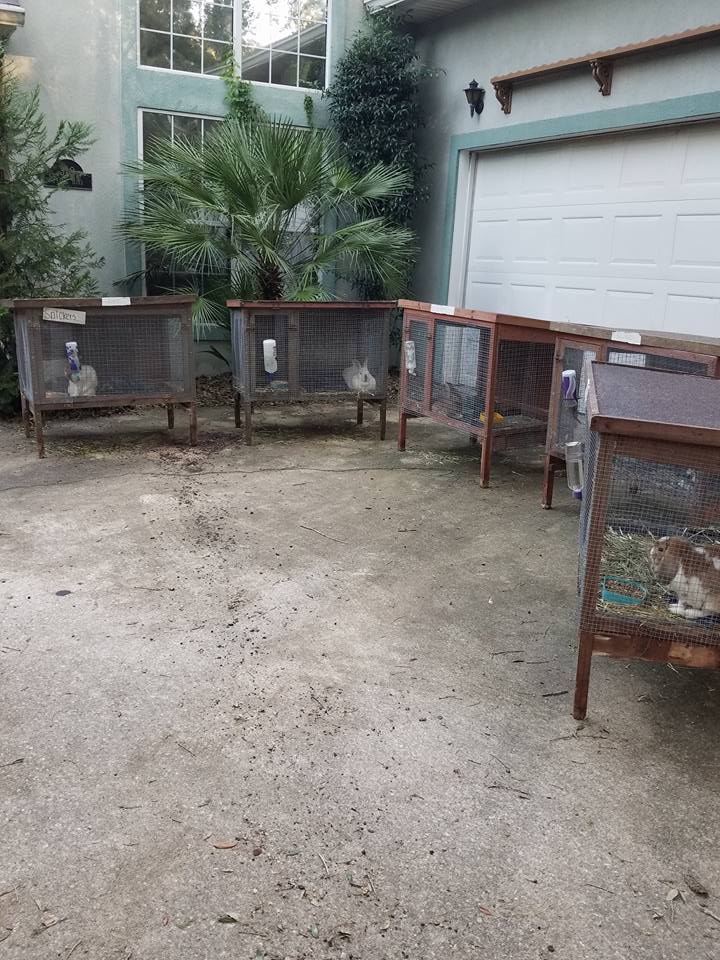 14590383_10154670955644434_5332956657940125070_n