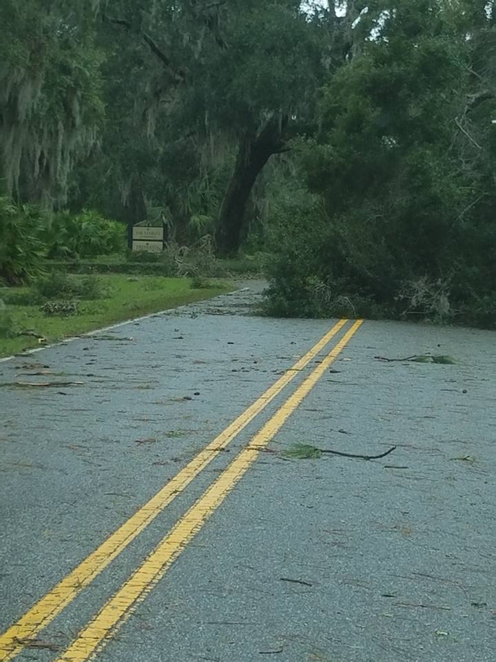 21462988_10155811468734434_679314010692038618_n