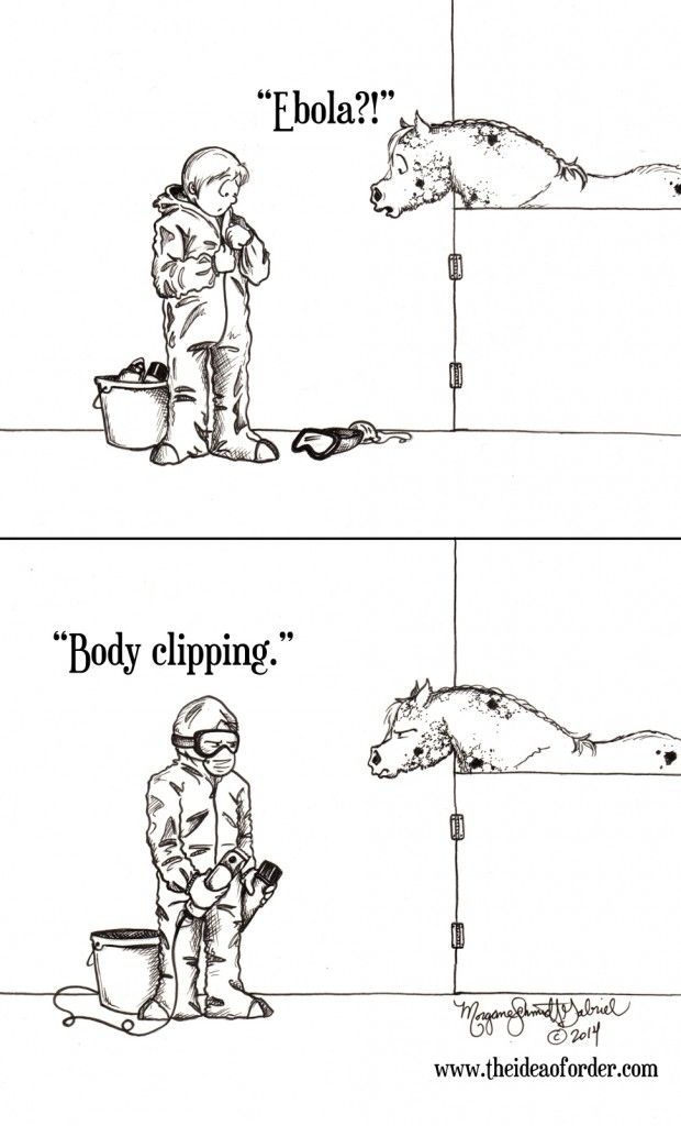 733e686943ab79e7b00351b6a62e58c6