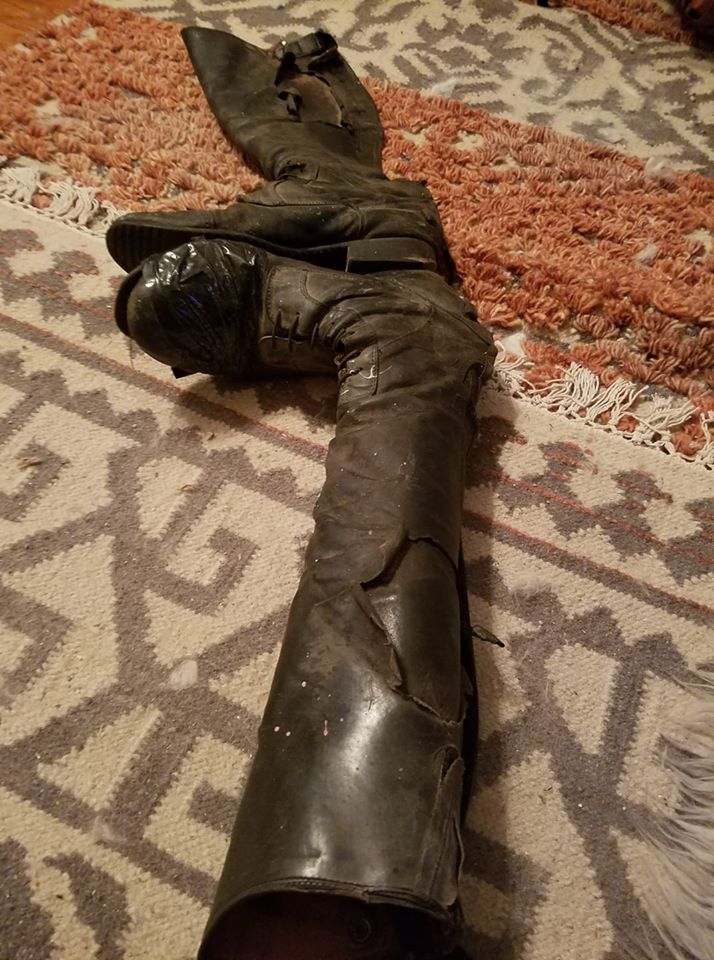 29664752_10156437377234434_9049467147814600569_o