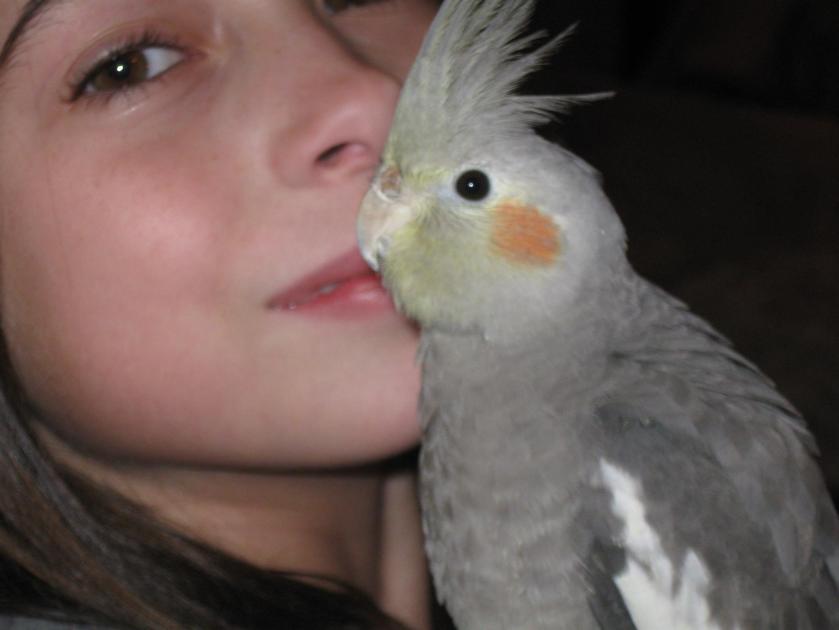 340226_10150589383749434_955547254_o