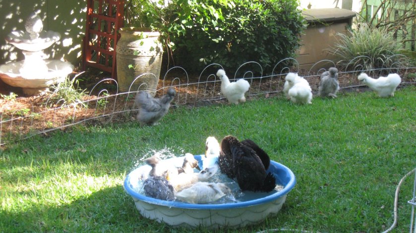 459774_10150968572324434_1886270765_o