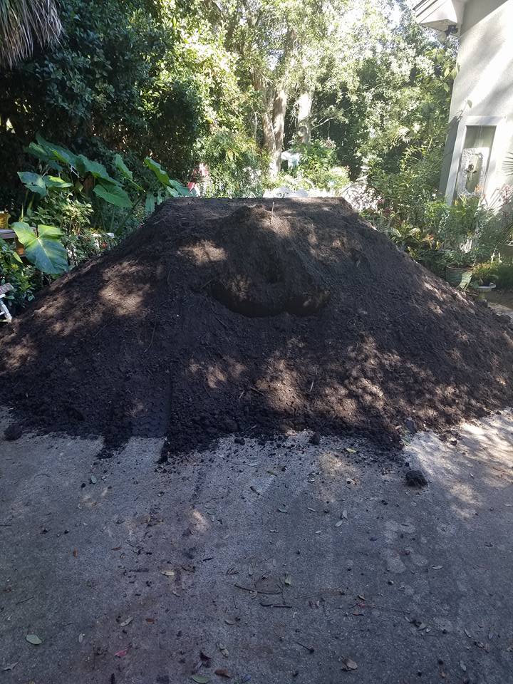 45984642_10157012831499434_4025646982247743488_n