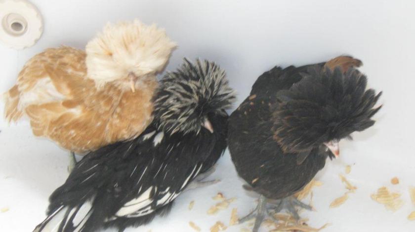 558283_10151110864109434_138890099_n