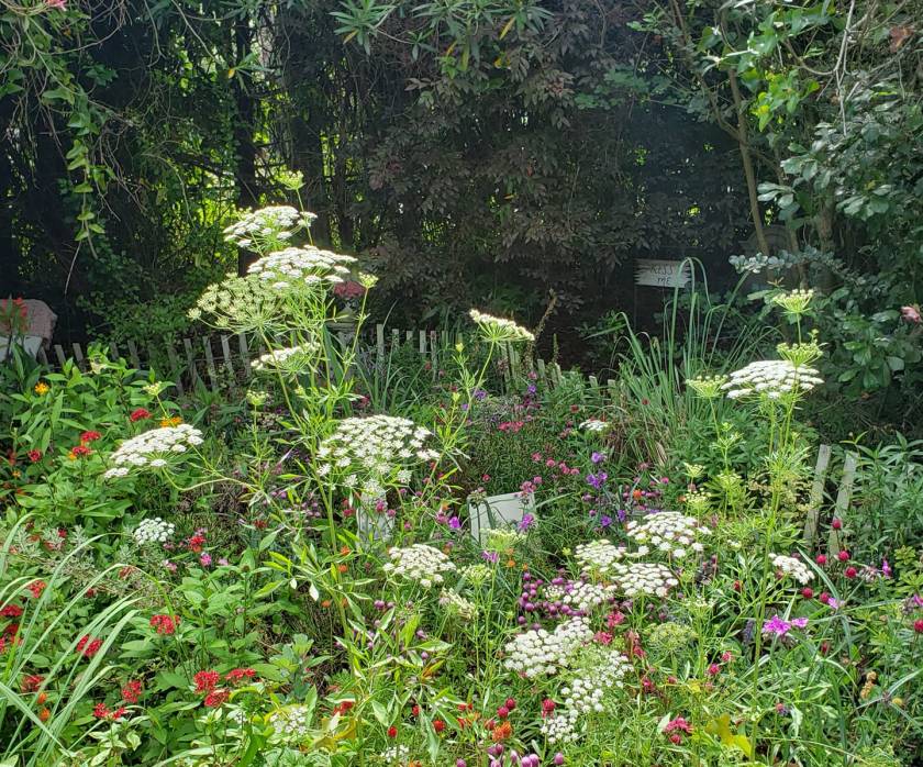 60563973_10157494722969434_7395917152382877696_o