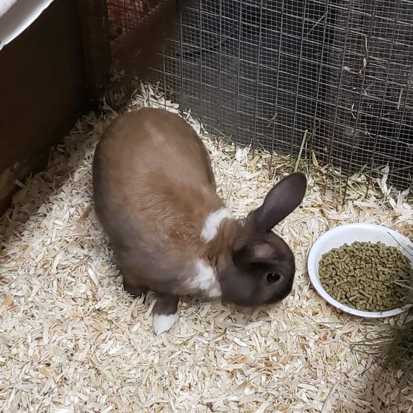 FB_IMG_1578015923723