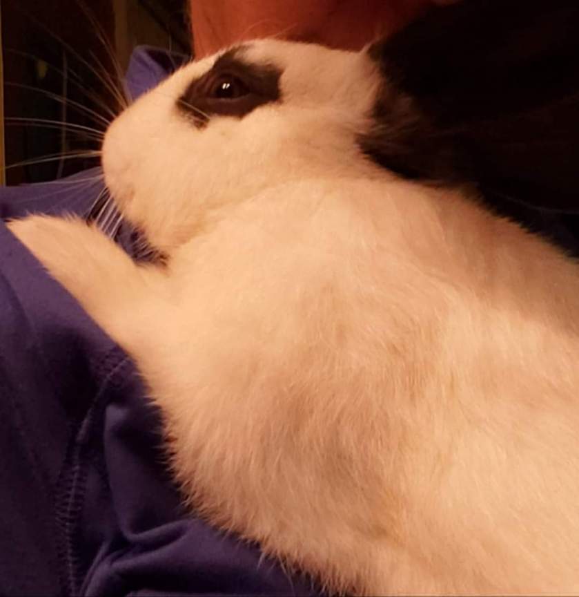 FB_IMG_1578015961232