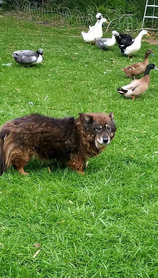 FB_IMG_1580425968902