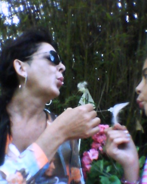 IMG_20130602_184912_0