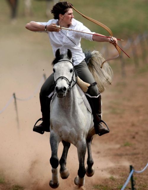 a90da79e368c3172eb81c3d802e8618b